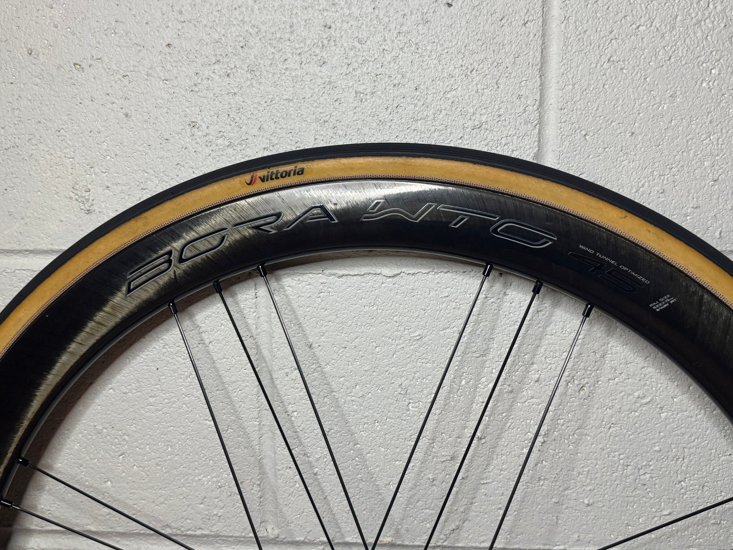 Campagnolo Bora WTO 45 Carbon Tubeless Clincher Disc Brake Wheelset Hg, Tires & wheelbags