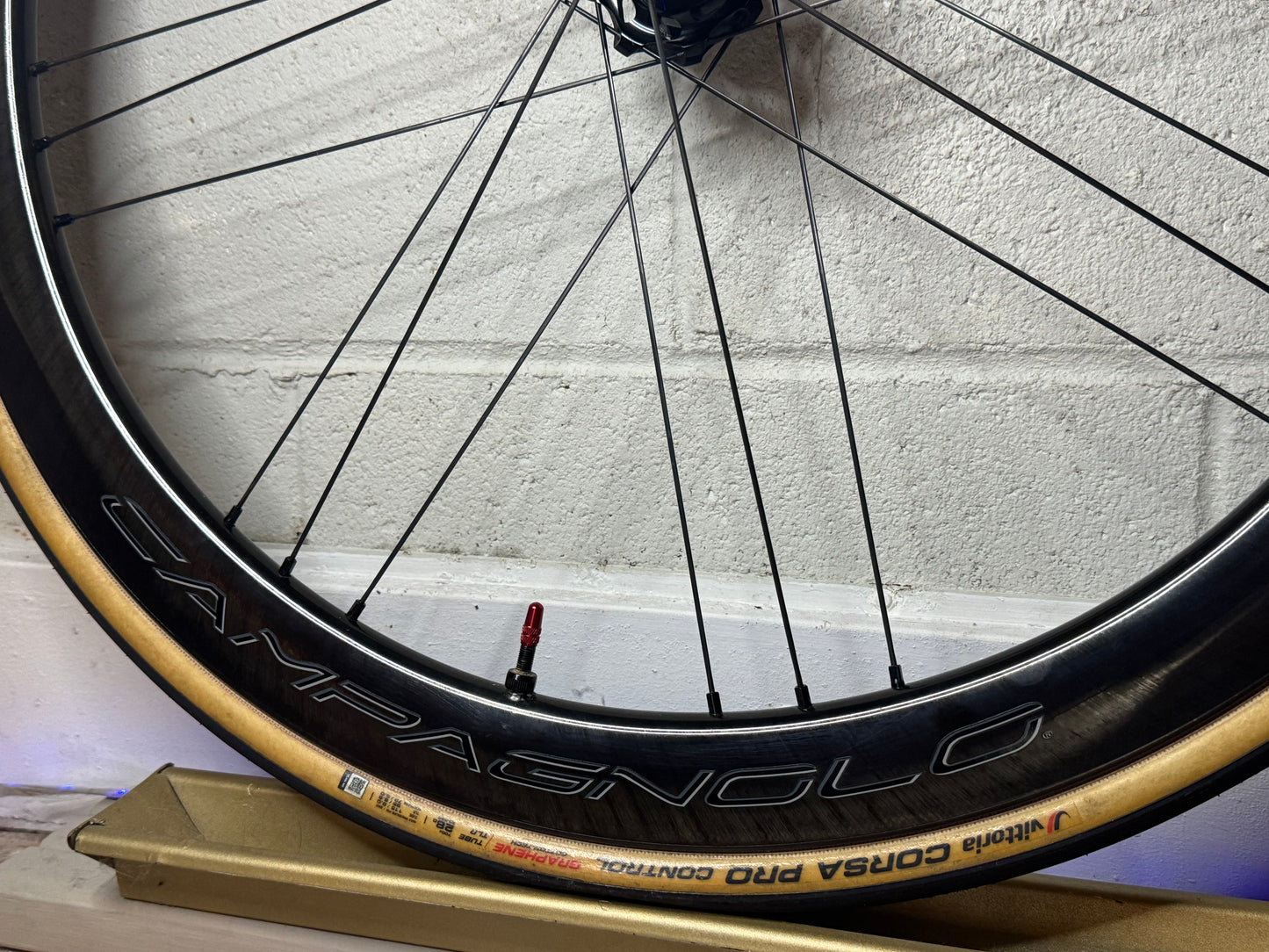 Campagnolo Bora WTO 45 Carbon Tubeless Clincher Disc Brake Wheelset Hg, Tires & wheelbags