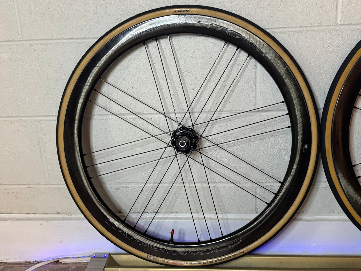 Campagnolo Bora WTO 45 Carbon Tubeless Clincher Disc Brake Wheelset Hg, Tires & wheelbags