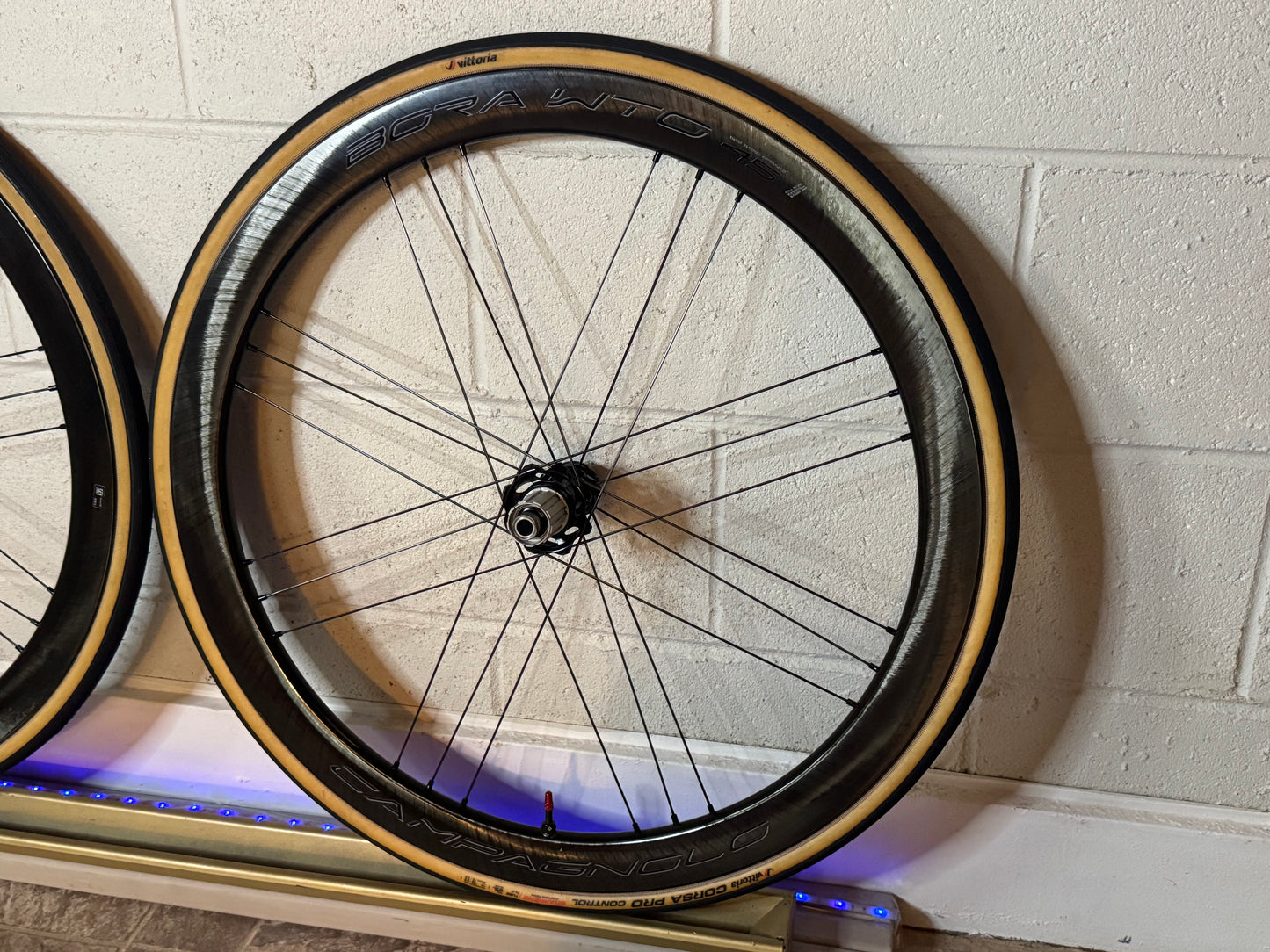 Campagnolo Bora WTO 45 Carbon Tubeless Clincher Disc Brake Wheelset Hg, Tires & wheelbags