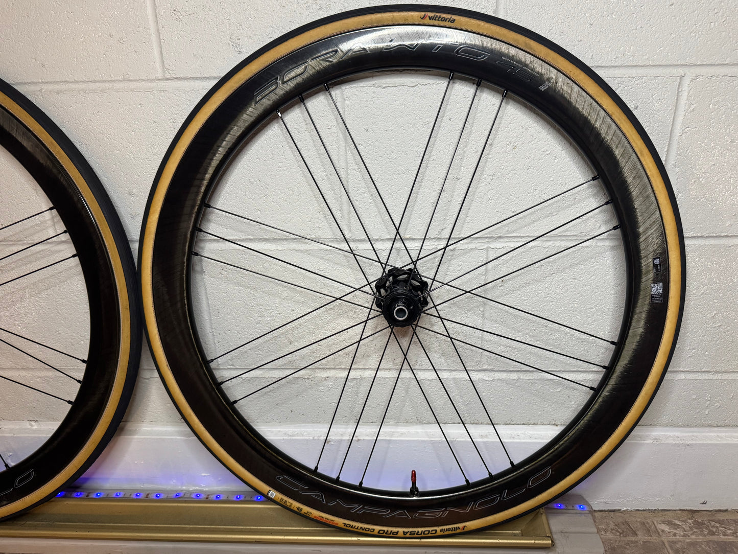 Campagnolo Bora WTO 45 Carbon Tubeless Clincher Disc Brake Wheelset Hg, Tires & wheelbags