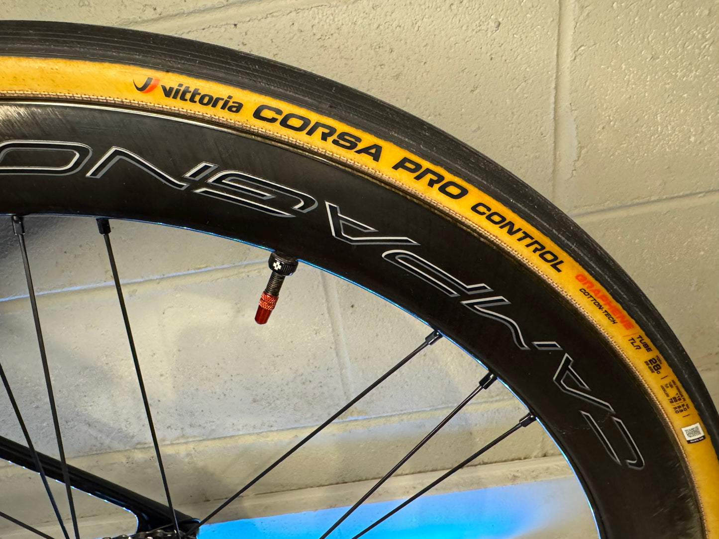 2025 Trek Madone Gen 8 Size M/L . Di2 Power Meter. Bora WTO Wheelset.