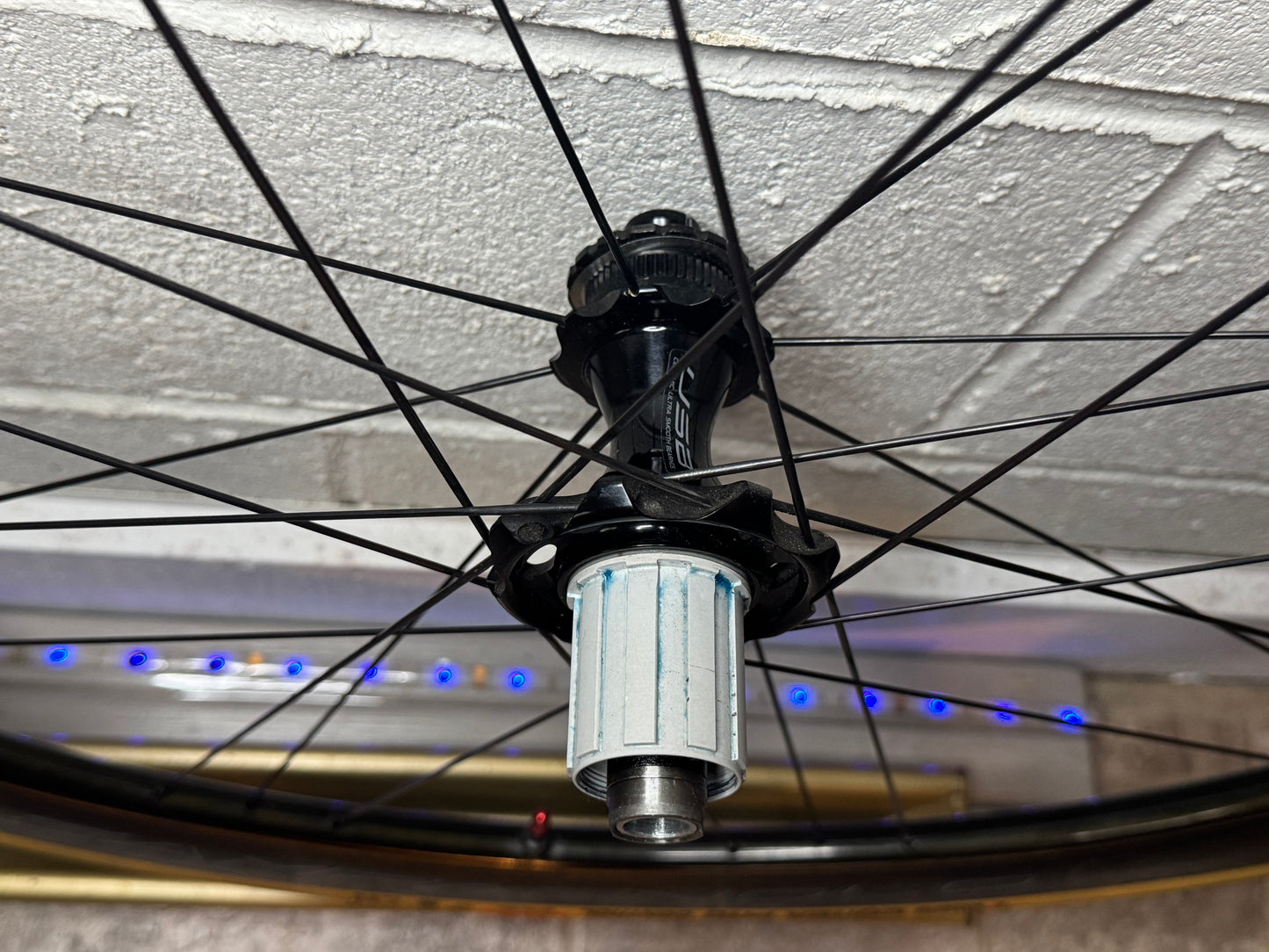 Campagnolo Bora WTO 45 Carbon Tubeless Clincher Disc Brake Wheelset Hg, Tires & wheelbags